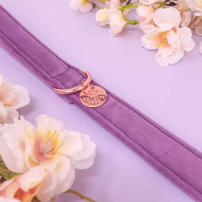 "FLORENCE" LEASH