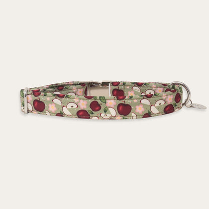 Handmade apple dog collar with a charming floral orchard print