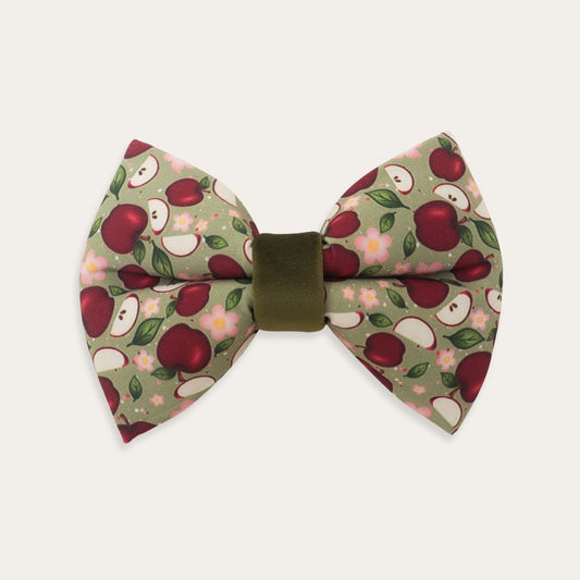 Apple floral dog bow tie with red apples, pink flowers and sage green background