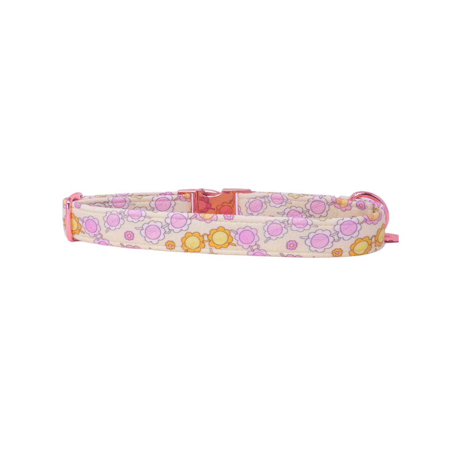 "Retro Ray" Collar