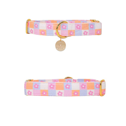 "Daydream Daisy" Collar