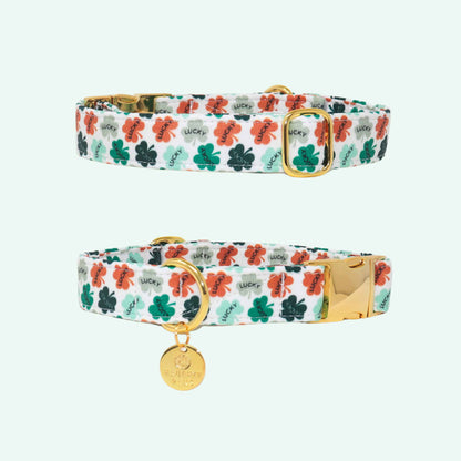 "Lucky" Collar
