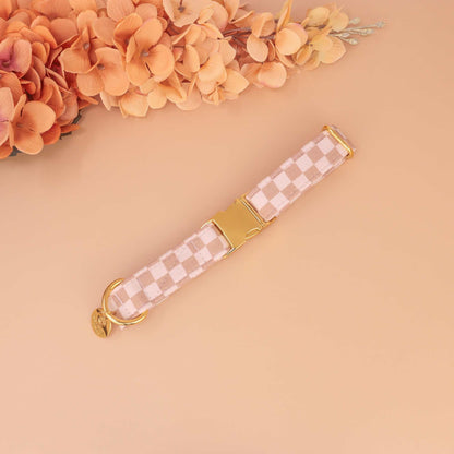 "Latte Check" Collar