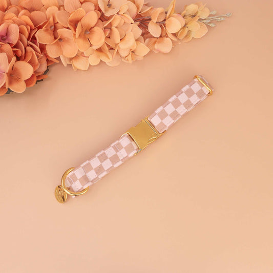 "Latte Check" Collar