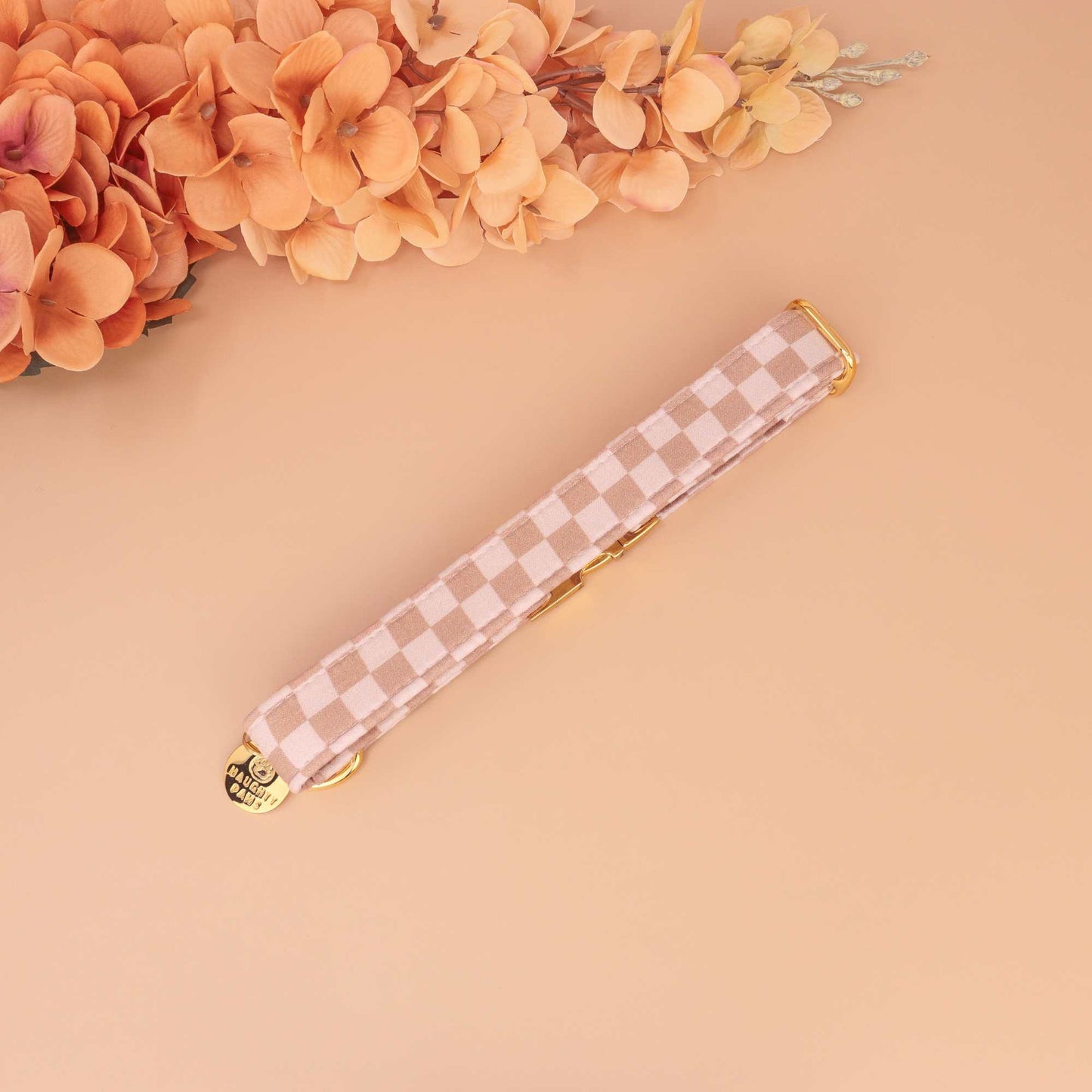 "Latte Check" Collar