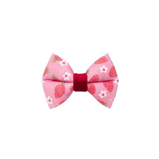 "Berry Happy" Puffy Bow Tie