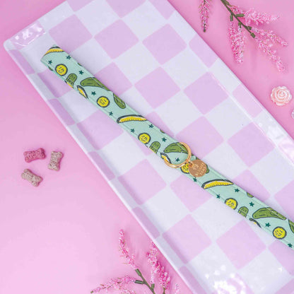 "Minty Pickle" Leash