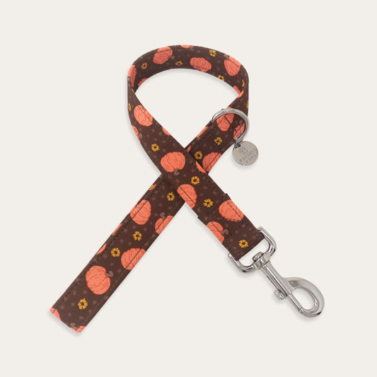 A fabric pet leash with a brown background patterned with orange pumpkins and small yellow flowers, featuring silver metal hardware and a round silver tag, shown on a light cream background.