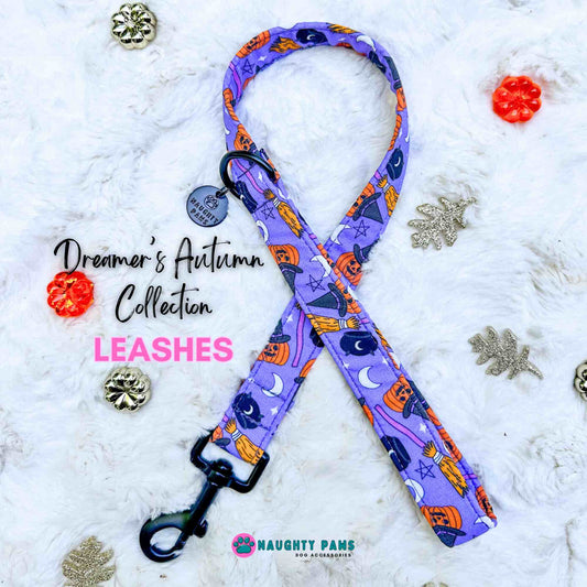 Dreamer's Autumn Collection Leashes