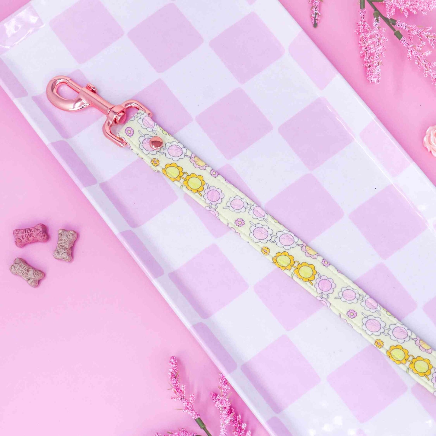 "Retro Ray" Leash