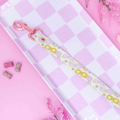 "Retro Ray" Leash