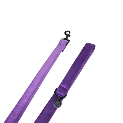 "AMETHYST" LEASH