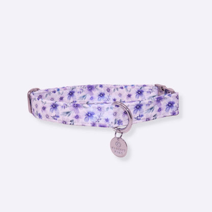 "Violet" Collar