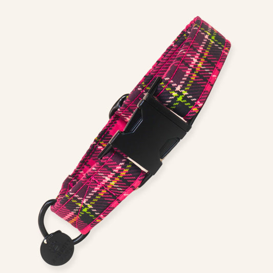 Midnight Rose Plaid hot pink tartan dog collar with black plaid details, black buckle and matching hardware