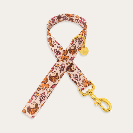 Woodland fall dog leash featuring hedgehogs, mushrooms, acorns and autumn leaves