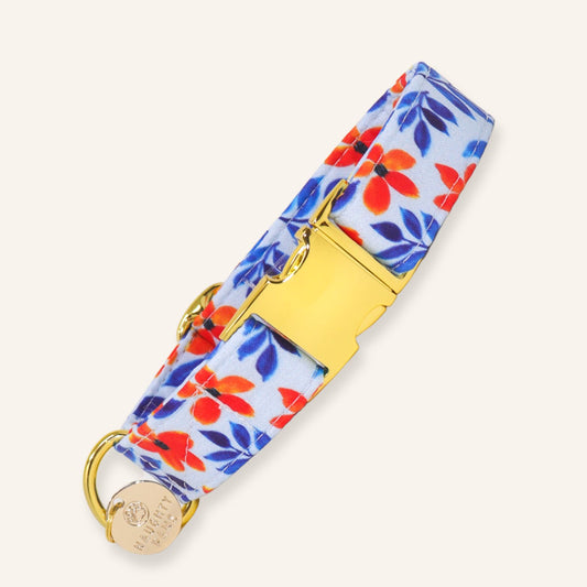 "Bali" Collar