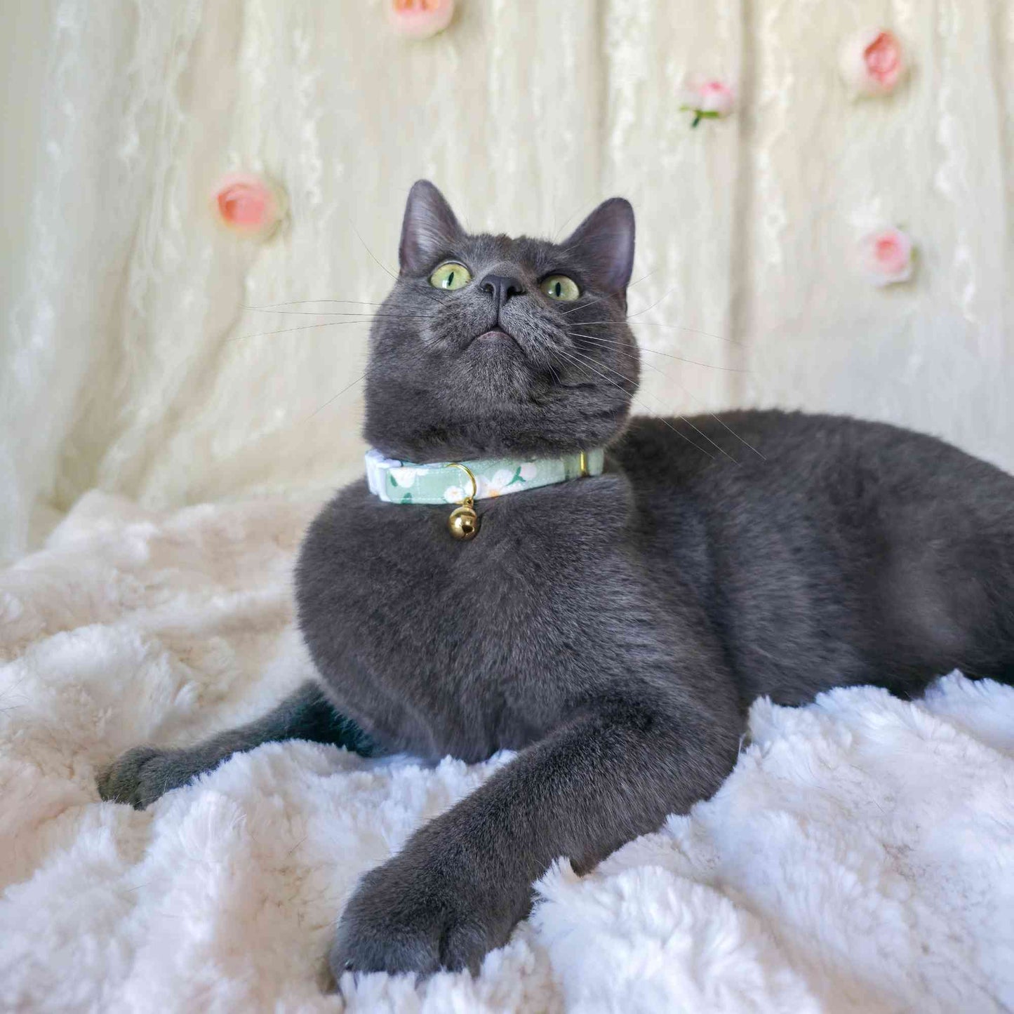 "Sage Blossom" Breakaway Cat Collar
