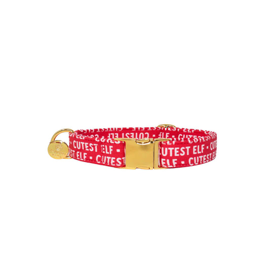 "Holly Red" Collar