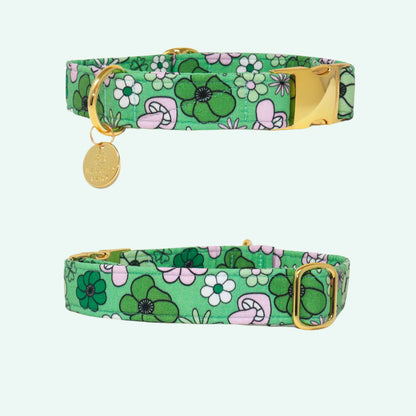 "Irish Spring" Collar