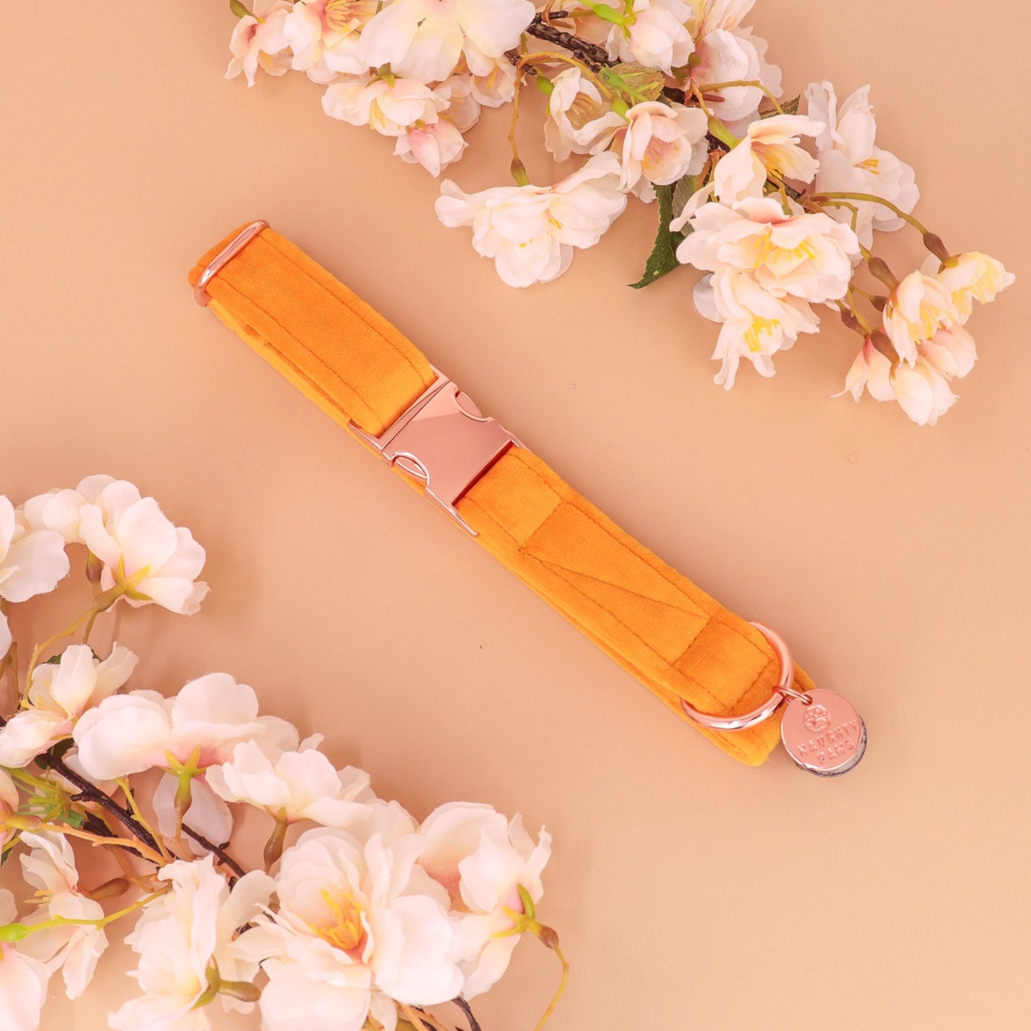 Soft golden velvet dog collar with rose gold hardware, mustard yellow pet collar for male or female dogs, handmade dog collars for neutral look.