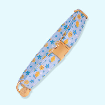 "Amalfi Breeze" Collar