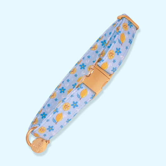 "Amalfi Breeze" Collar