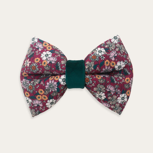 Burgundy floral dog bow tie featuring pink, white, orange and blue wildflowers