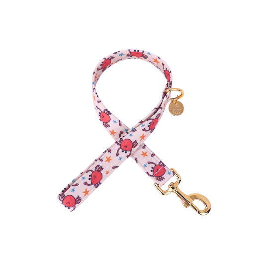 "Key Claws" Leash
