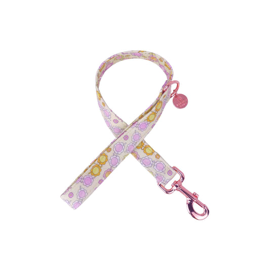 "Retro Ray" Leash