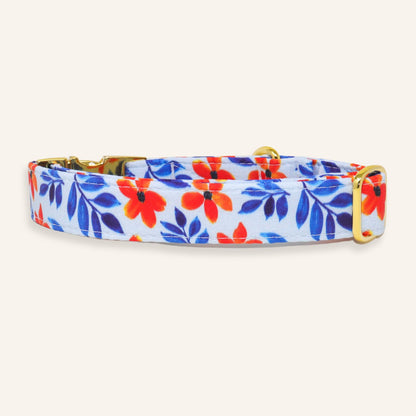 "Bali" Collar