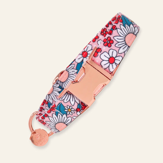 "Holiday Blooms" Collar