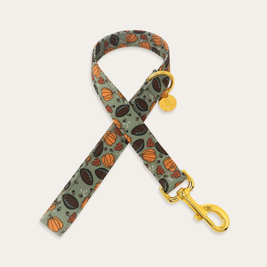 Sage green fall dog leash featuring pumpkins, footballs and autumn leaves