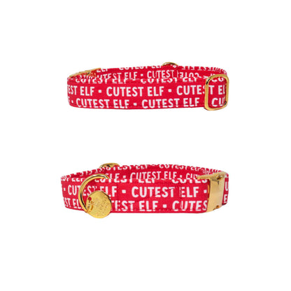 "Holly Red" Collar