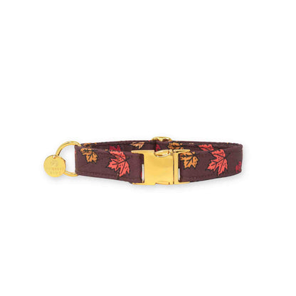 "Falling Leaves" Collar