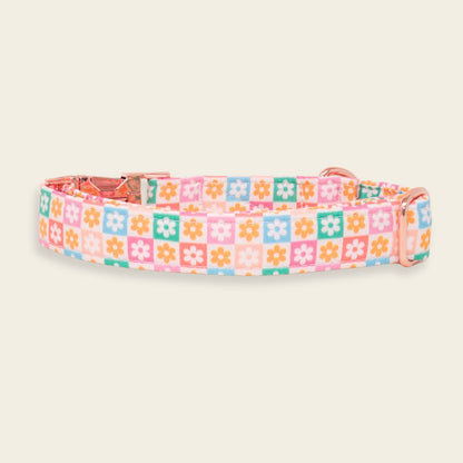 "Retro Floral" Collar