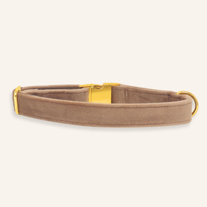 "LATTE" COLLAR
