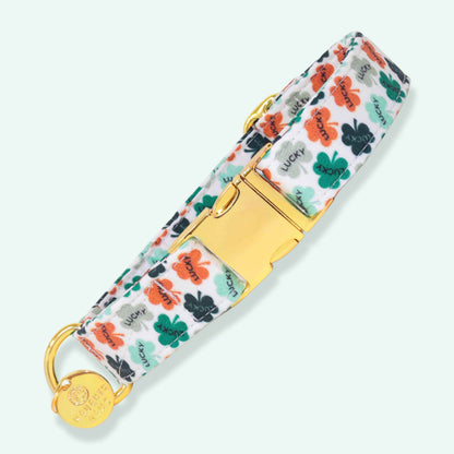 "Lucky" Collar