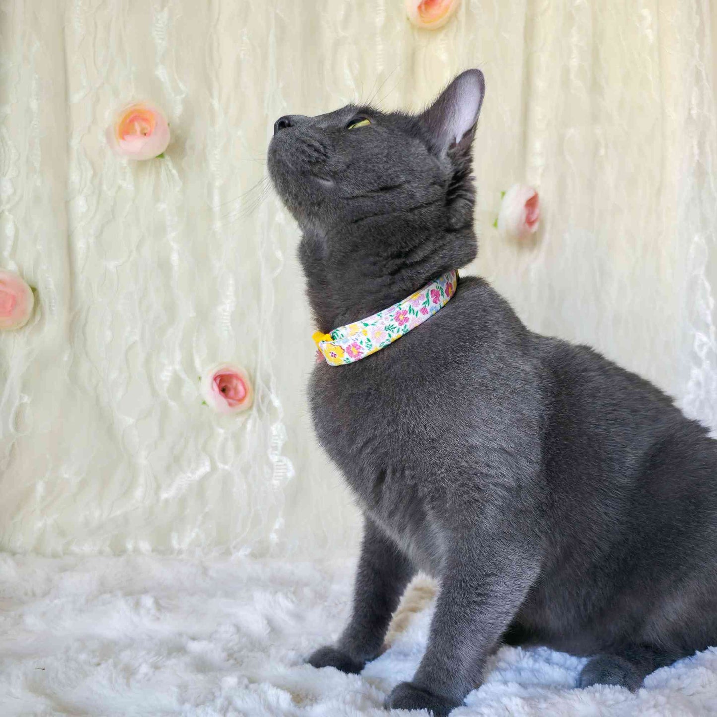 "Buttercup Garden" Breakaway Cat Collar