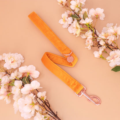 "HAWAII" LEASH