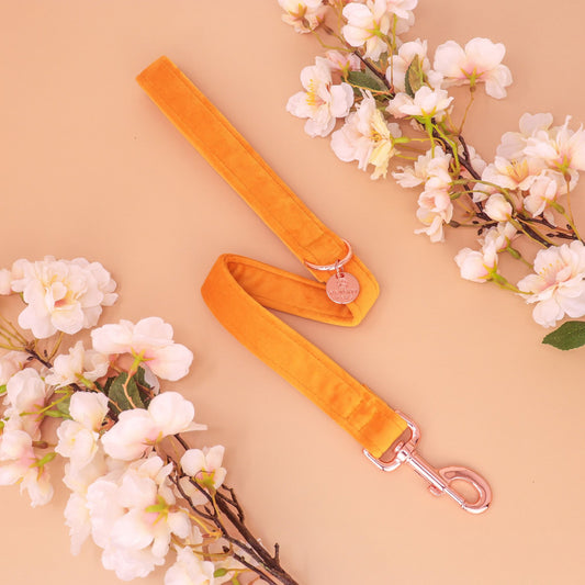 "HAWAII" LEASH