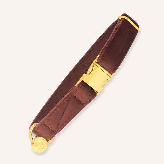 "ESPRESSO" COLLAR