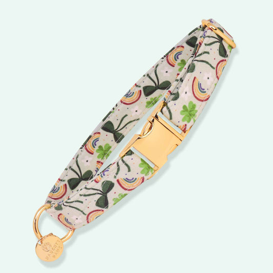 Fortune Clover dog collar featuring lucky clovers and rainbow print, green St Patrick’s Day dog collar