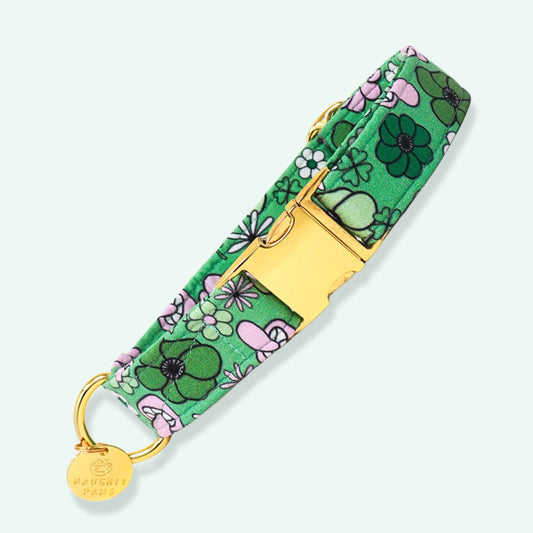 "Irish Spring" Collar