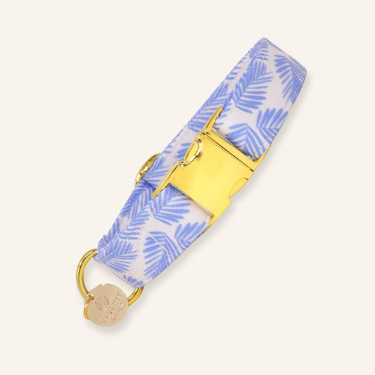 "California" Collar