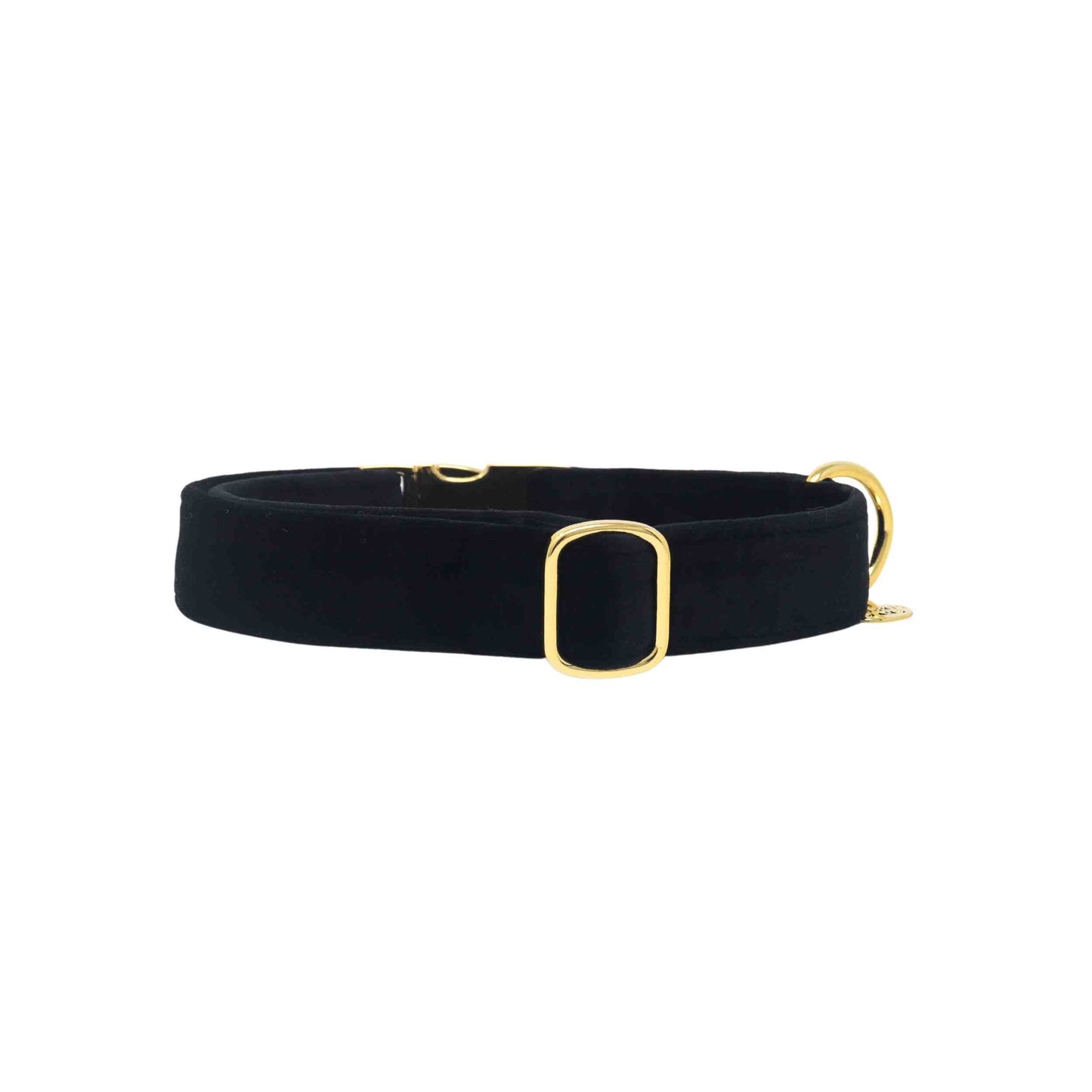 "BLACK VELVET" COLLAR