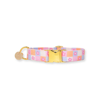 "Daydream Daisy" Collar