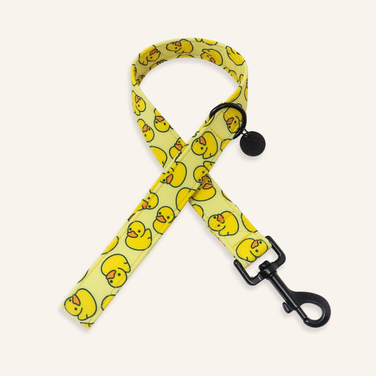 "Bubble Bath" Leash