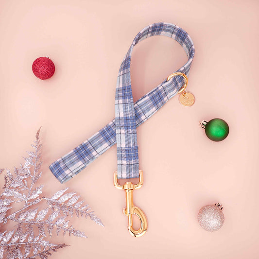 Frosty Morning blue plaid dog leash with silver hardware on white background