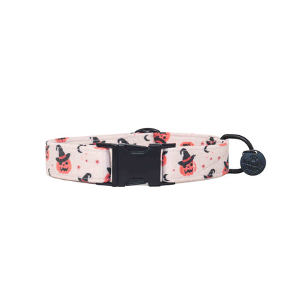 "Jack O'Lantern" Collar