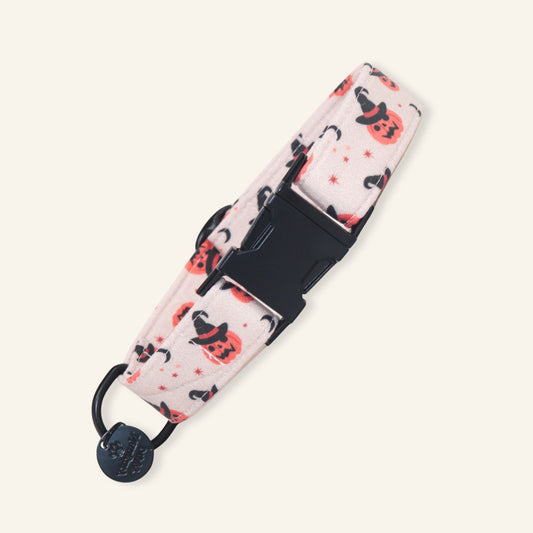 "Jack O'Lantern" Collar